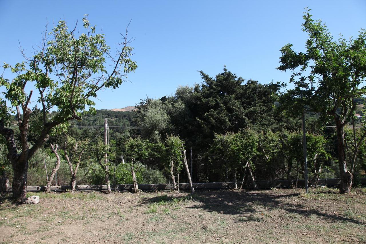 Hellenick House Villa Agios Ioannis  Eksteriør billede