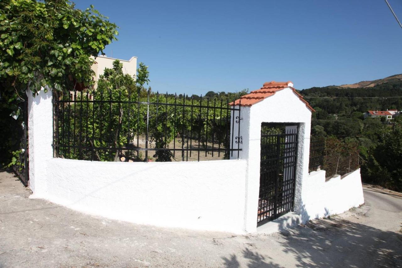 Hellenick House Villa Agios Ioannis  Eksteriør billede